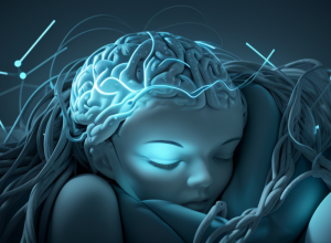 Studiu științific: Un somn scurt de zi (power nap) te face mai inteligent