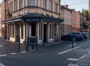 Poliția din Wiesbaden a arestat spărgători și caută o escroacă acuzată de furt