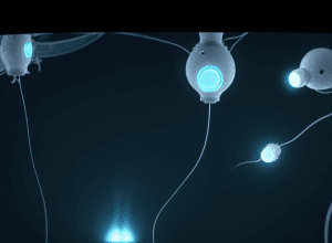 Inteligența Artificială a Ajutat un Cuplu să Conceapă După 18 Ani de Infertilitate