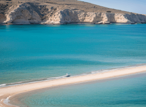 Mii de bibani de mare au evadat de la o fermă: Aflux neobișnuit de pește pe coasta Ciprului