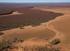 Turistă germană dispărută în Australia acum 12 zile, găsită în viață