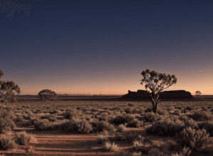 Turistă germană găsită în viață după 12 zile în sălbăticia Australiei: o poveste de supraviețuire