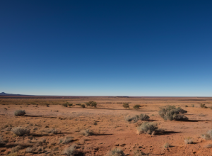 Turistă germană dispărută de 12 zile, găsită în viață în sălbăticia australiană