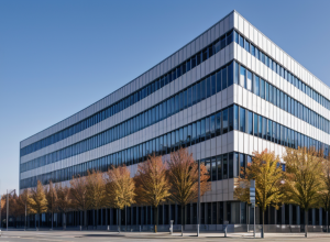 Declarațiile Fiscale în Germania: Landurile Estice, cele mai rapide în procesare