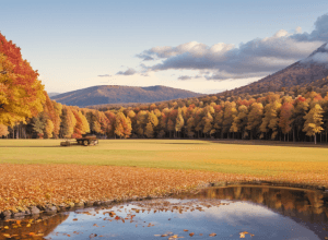 Vacanțe de toamnă: Economisiți până la 31% la călătorii