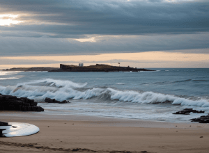 Atac fatal de rechin lângă Sydney: un surfer a murit, plajele au fost închise