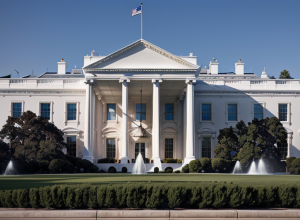Speranța de pace și „dansul diplomatic delicat”: Cum privește lumea summitul Trump-Europa