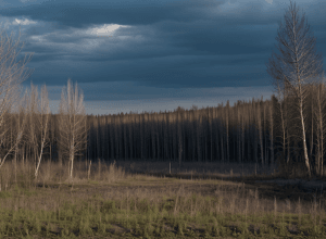 Misterele și secretele Cernobîlului: 35 de ani mai târziu