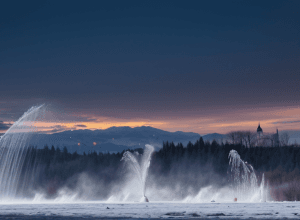 Impactul inteligenței artificiale asupra jurnalismului modern