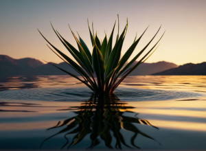 Boris Becker, tată pentru a cincea oară: Tenismanul și soția sa, Lilian, au o fiică