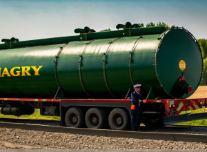 Ungaria este dispusă să vândă gaz Ucrainei, dar cu o condiție