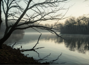 Alertă de gripă aviară în districtul Leipzig: Doi noi cazuri confirmate și extinderea virusului