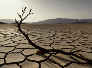 Bundestagul dezbate criza din Sudan: Luptele continuă pe fondul apelurilor pentru încetarea focului