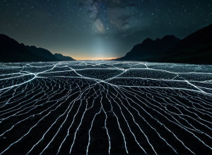 Starul din "Better Call Saul", Rhea Seehorn, într-un nou rol principal în serialul SF "Pluribus"