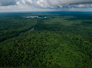 Raportul "Puncte de Cotitură Globale" avertizează înainte de Conferința climatică COP30