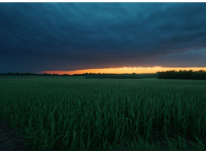 Cazul crimei Fabian: Detalii șocante din trecutul suspectei