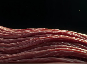 Declarația controversată a lui Kovač despre un star BVB stârnește valuri: "Prea mult lactat în corp"