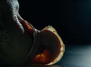 Dezvăluirea dură a lui Paris Jackson: "O gaură în nas din cauza drogurilor"