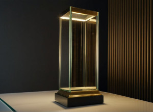 Trofeul de campion al echipei de handbal Füchse Berlin, furat!