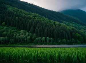 Un nou studiu dezvăluie potențialul inteligenței artificiale în combaterea schimbărilor climatice