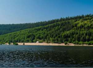 Strategii Eficiente pentru Combaterea Schimbărilor Climatice