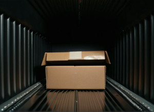 Trafic Ilegal cu Țestoase Rare: Francez Oprit la Granița Germaniei cu 31 de Reptile în Cutii