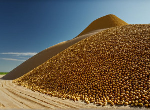 Recoltă Record de Porumb în Germania: Un Munte Gigant Produce Biogaz pentru 35 Milioane de Kilometri