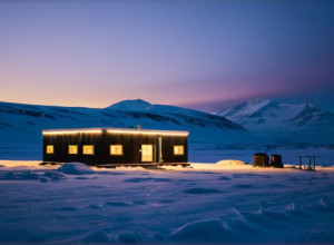 Ursul polar intră într-o stație de cercetare: Câini curajoși îl alungă