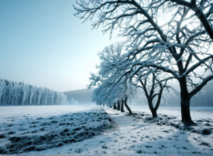 Germania, lovită de un val de frig: Iarna a sosit devreme după o toamnă neobișnuit de caldă