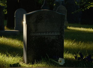 FSB-ul Rusiei susține că a dejucat un atentat la viața lui Serghei Șoigu: Cameră ascunsă într-o vază de flori?