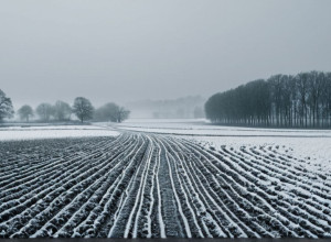 Va persista zăpada în Germania până la Black Friday? Prognoza meteo detaliată