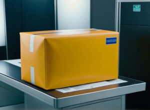 Scandal în Bundesliga: Karim Adeyemi de la Borussia Dortmund amendat cu 450.000 de euro pentru posesie ilegală de arme