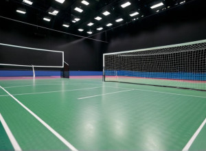 Campionatul Mondial de Handbal Feminin 2025: Germania se pregătește de turneul acasă