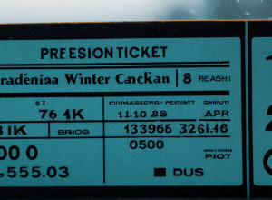 Călătoriți cu trenul de Crăciun? Descoperiți cea mai ieftină zi pentru bilete!