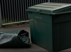 Șoc în Germania: Python de 3 metri, găsit mort lângă un container de haine