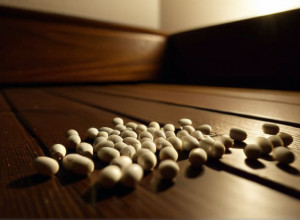 Tragedia din vacanță: O familie a murit din cauza unui pesticid toxic. Se folosește și în Germania?