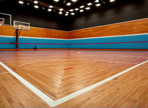 O nouă eră pentru Füchse Berlin: Adidas devine sponsor principal într-un acord de 1,5 milioane de euro