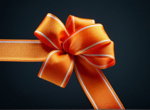 Vedetele Bundesliga de la Bayer Leverkusen luptă împotriva violenței asupra femeilor