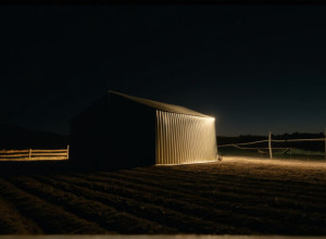 Scandal de Contrabandă cu Dulciuri la „Ferma Vedetelor”: Intervenția Securității și Scene Pasionale