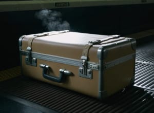 Poliția germană a prins un traficant de droguri de 47 de ani cu cocaină într-un tren