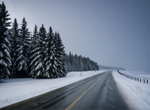 Furtună de zăpadă în America de Nord