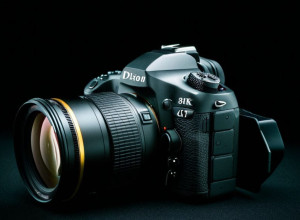 Exemplu de articol în limba română