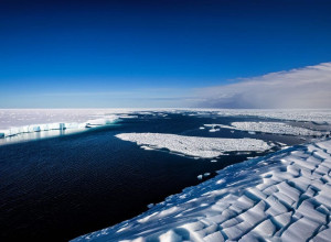 Călătorie în Arctica