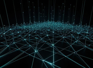 Adolescent din rețeaua „White Tiger” reținut: forța victimele să se auto-vătămeze