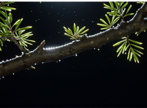 Katy Perry clarifică zvonurile despre inteligența artificială în noul videoclip