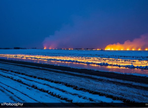 Schimbările climatice și consecințele lor
