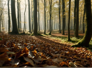 Identitatea femeii găsite moarte într-o pădure din München, confirmată