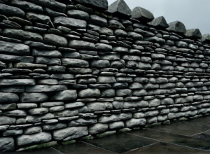 Tucker Carlson: „Îi urăsc pe republicani” – Ruptură majoră în tabăra Trump