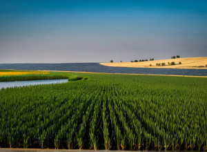 Istoria și dezvoltarea limbii române