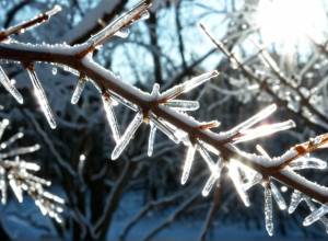 Atenție la polei: Condiții periculoase și încălzire în Germania